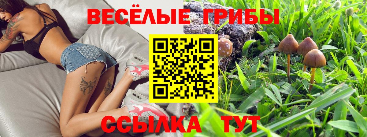 купить наркотик  Галлюциногенные грибы ЛСД  Вход с VPN  Среднеуральск 