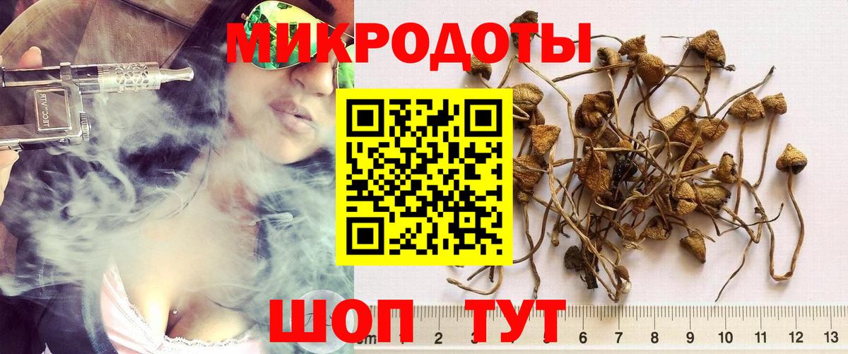 Галлюциногенные грибы Magic Shrooms Среднеуральск